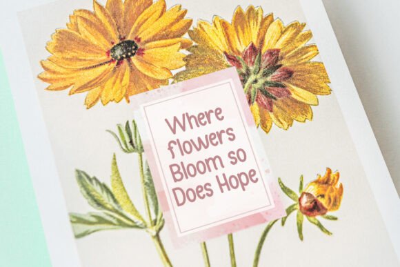 Bloomville Font - Preview 1