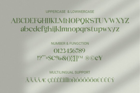 Quicle Font PNG with transparent background - Preview 6