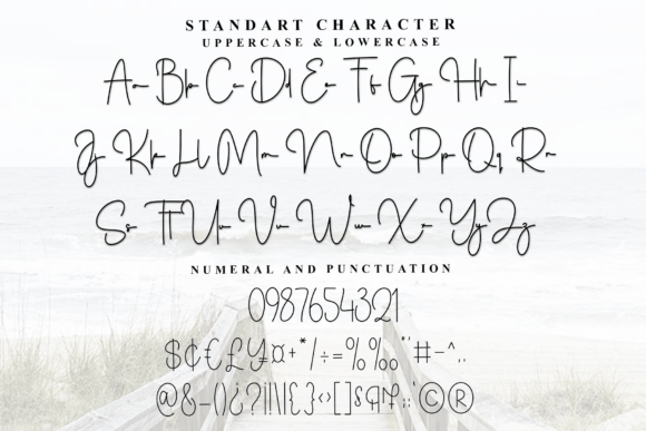 Backsong Font - Preview 4