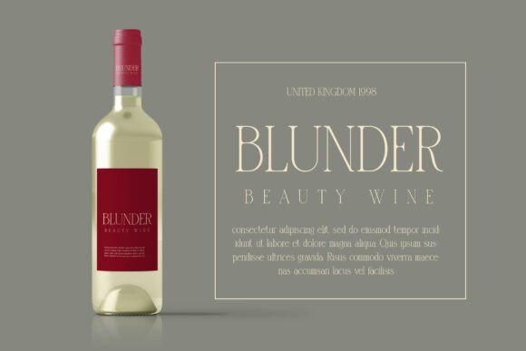 Blunder Font - Preview 3