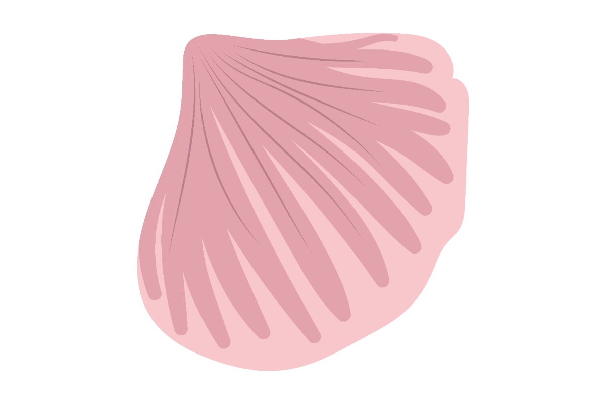 Pink Clam Shell Graphic by Pixel Prism Studio · Creative Fabrica