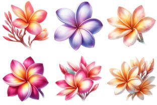 Plumeria Flower Clipart Graphic by daily.arts · Creative Fabrica