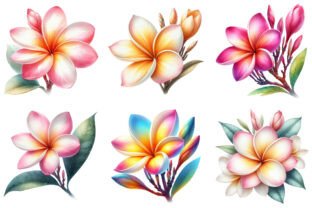 Plumeria Flower Clipart Graphic by daily.arts · Creative Fabrica
