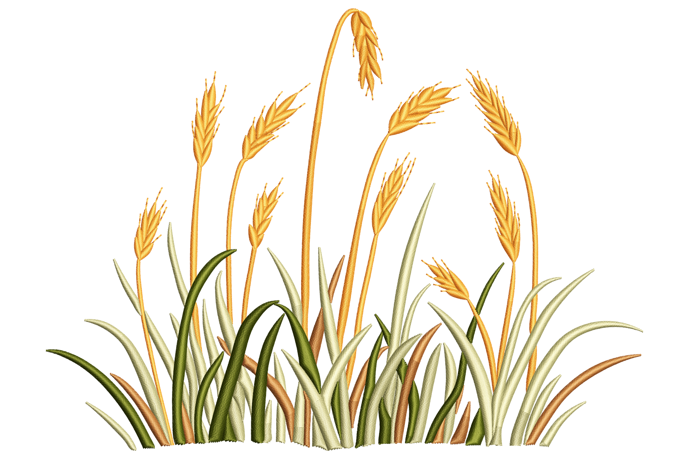 Wheat Grass
