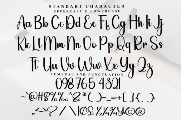 Blackink Calligraphy Font - Preview 4