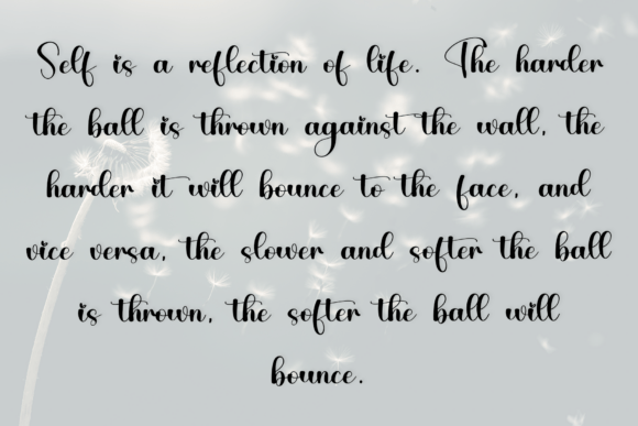 Dandelion Font - Preview 5