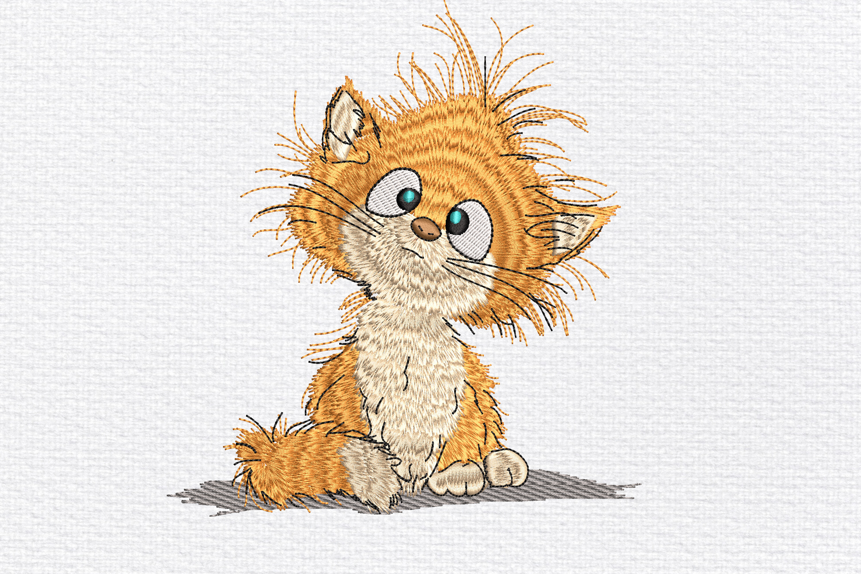 Funny Furry Cat