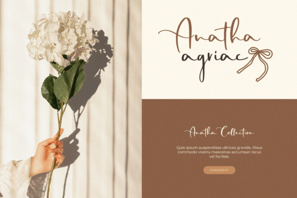 Maghenta Font PNG with transparent background - Preview 4