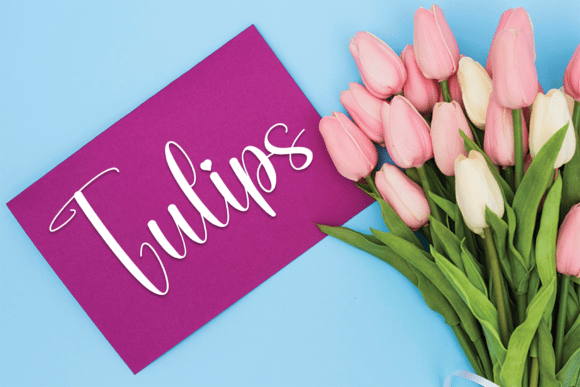 Daisy Font - Preview 4