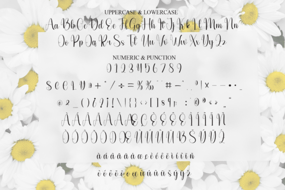Daisy Font - Preview 6