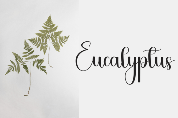 Danied Font - Preview 4