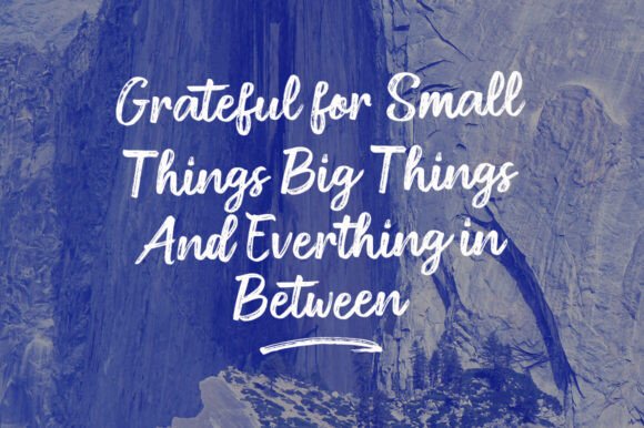 Diston Brush Font - Preview 3