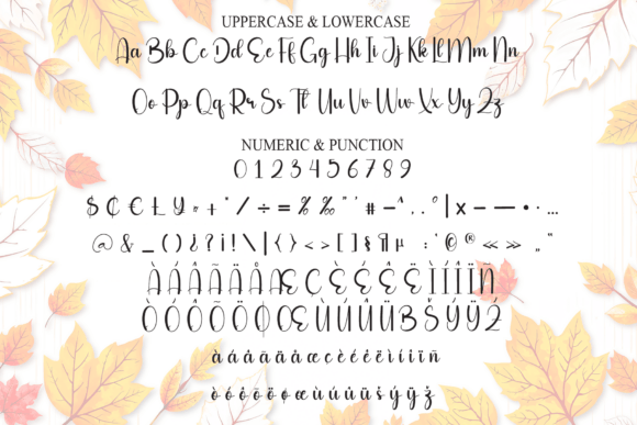 Autumn Font - Preview 6