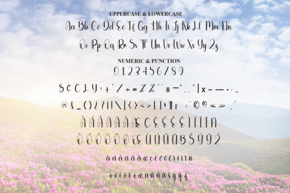 Beautiful Font - Preview 6