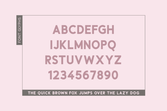 Calvonia Font - Preview 3