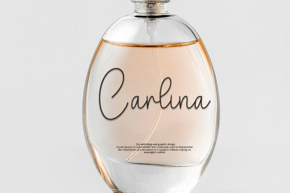 Delightful Font - Preview 4