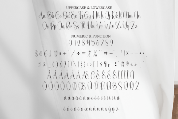 Background Font - Preview 6