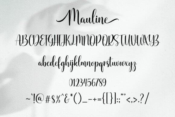 Mauline Font PNG with transparent background - Preview 4