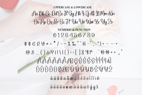 Rosemade Font PNG with transparent background - Preview 6