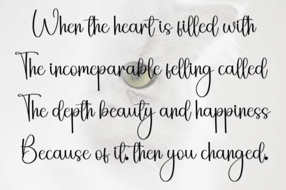 Darling Font - Preview 6