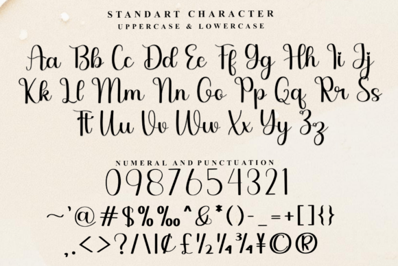 Alphabet Studio Font - Preview 4