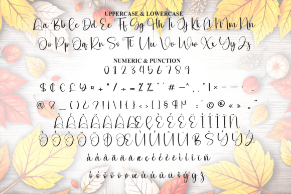 Autumn Font - Preview 6
