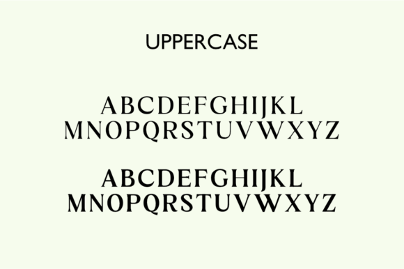 Bagusan Serif Font - Preview 2