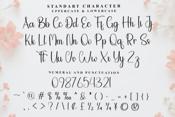 Blushberry Font - Preview 5