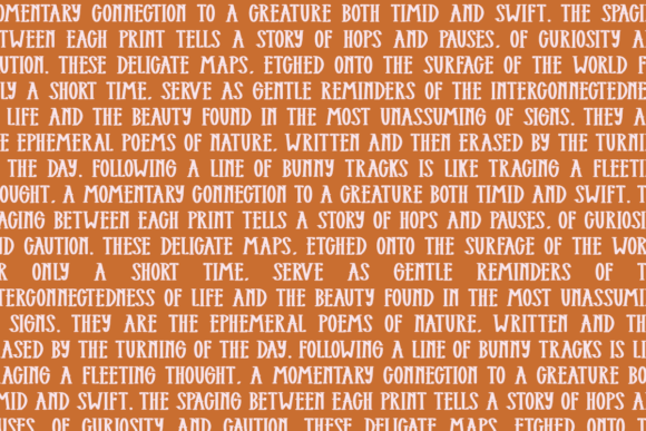 Bunny Tracks Font - Preview 1