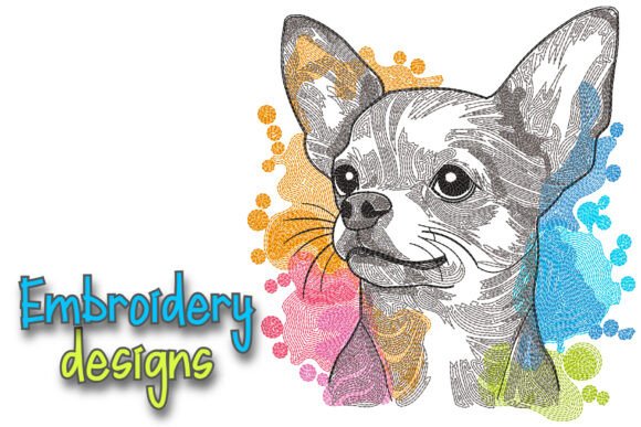 Chihuahua Dog