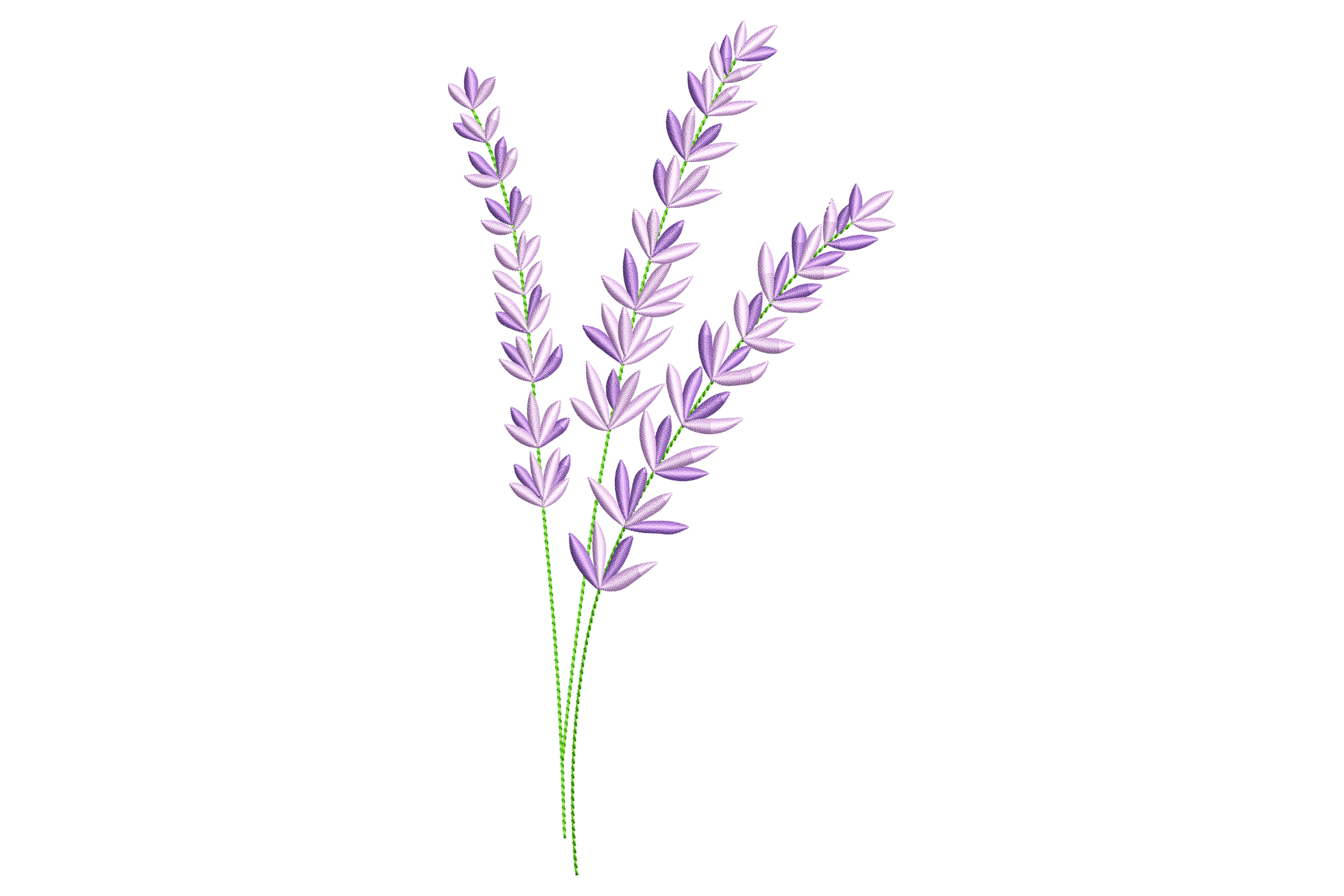 Lavender Sprigs