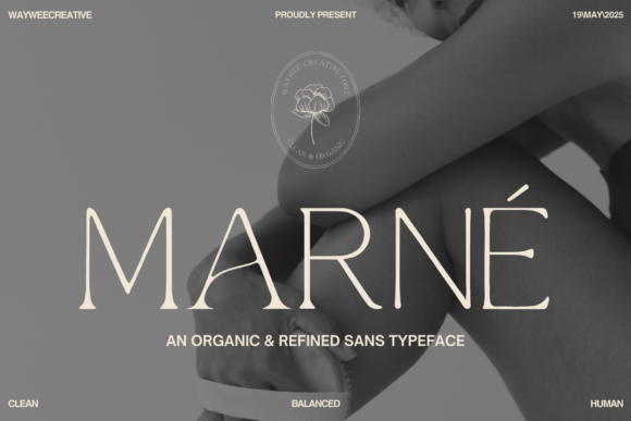Marne Font by Creacy Studio · Creative Fabrica font preview