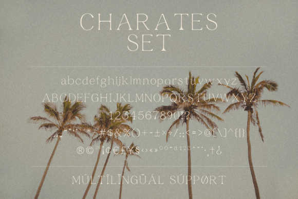 Marne Font PNG with transparent background - Preview 2