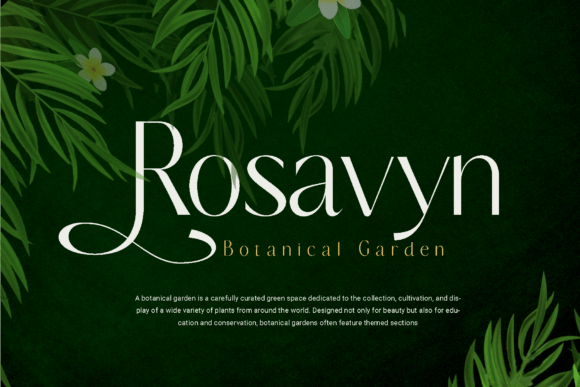 Belavey Font - Preview 2