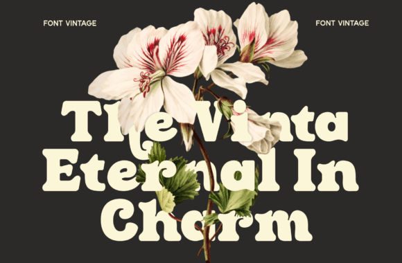 Clin Fiaro Font - Preview 4