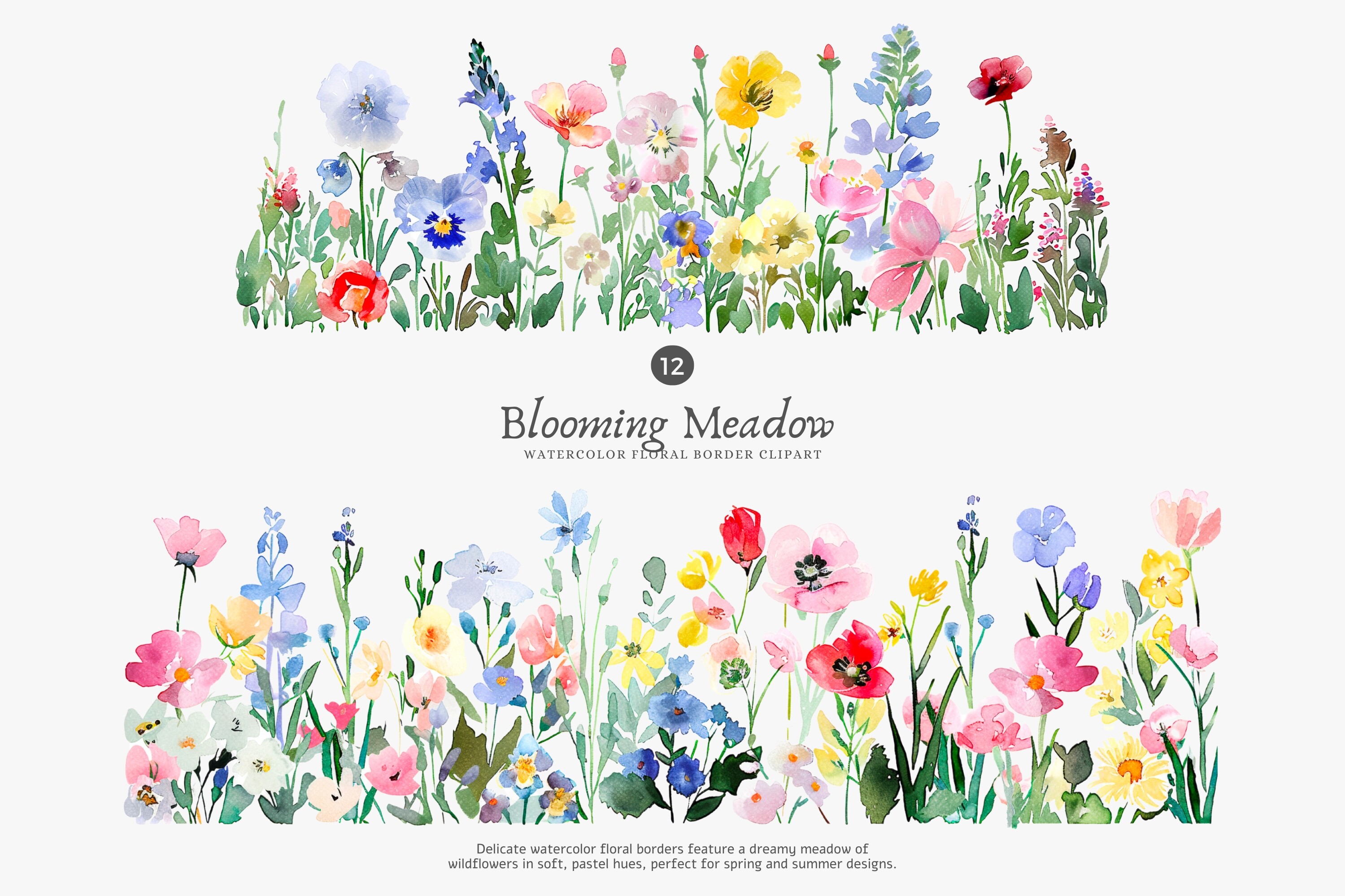 Watercolor flowers floral border set