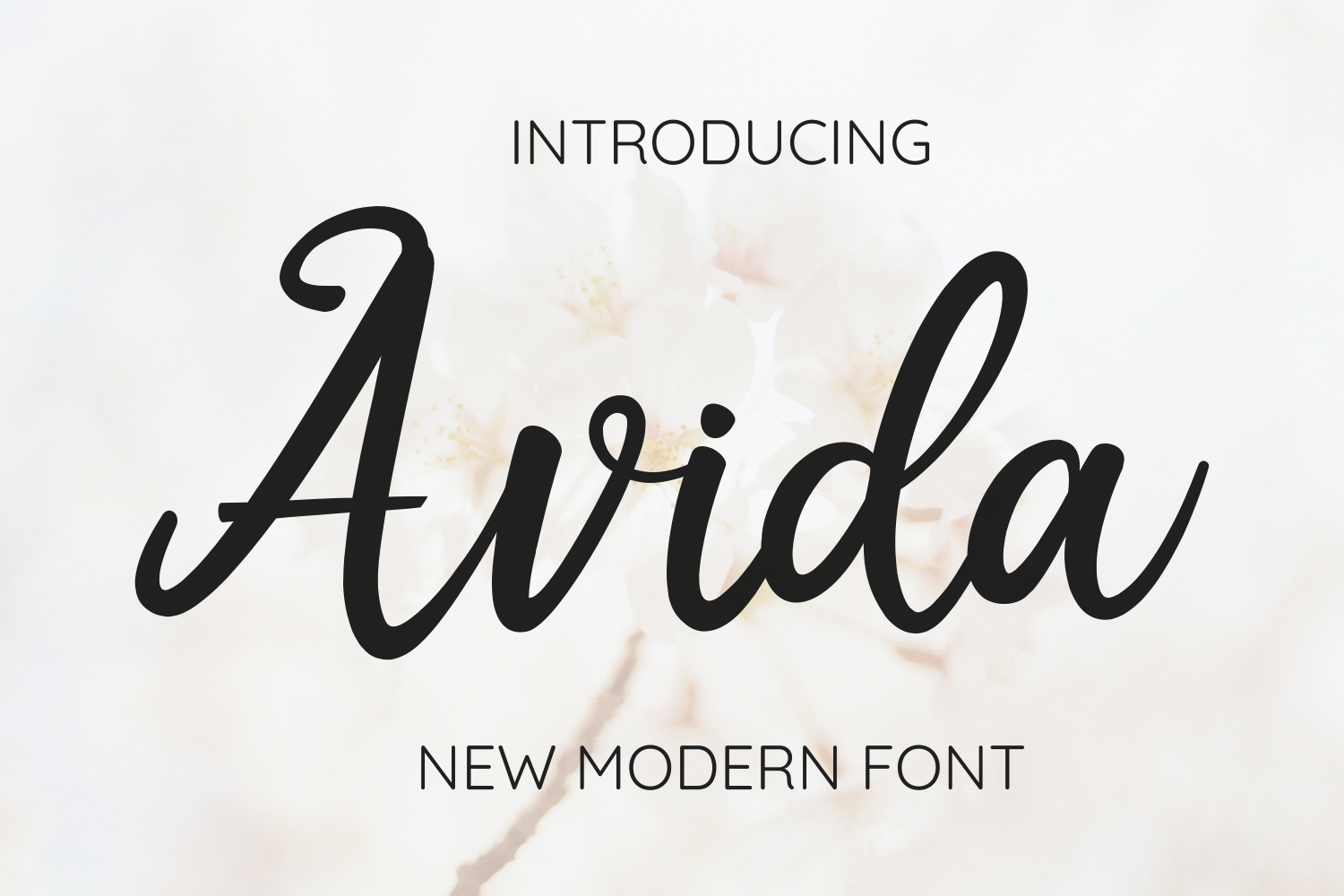 Avida font preview