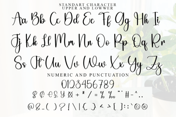 Background Magnolia Font PNG with transparent background - Preview 4