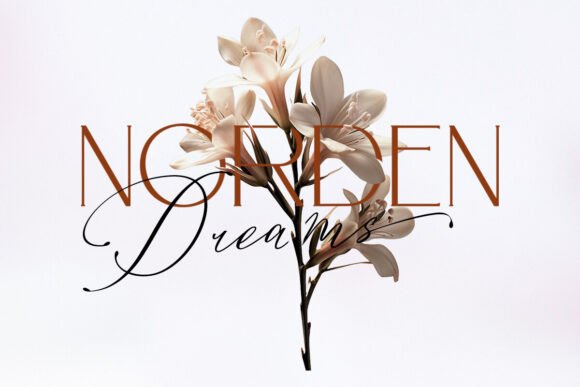Konesta Font PNG with transparent background - Preview 5