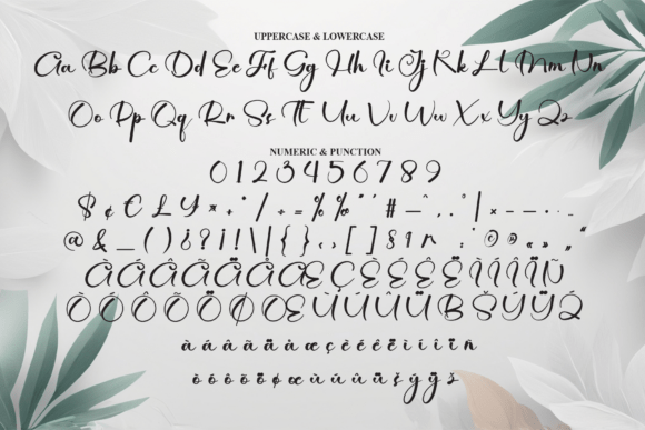 Angelina Font - Preview 6