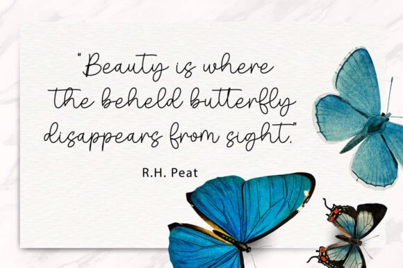 Baby Butterfly Font - Preview 1