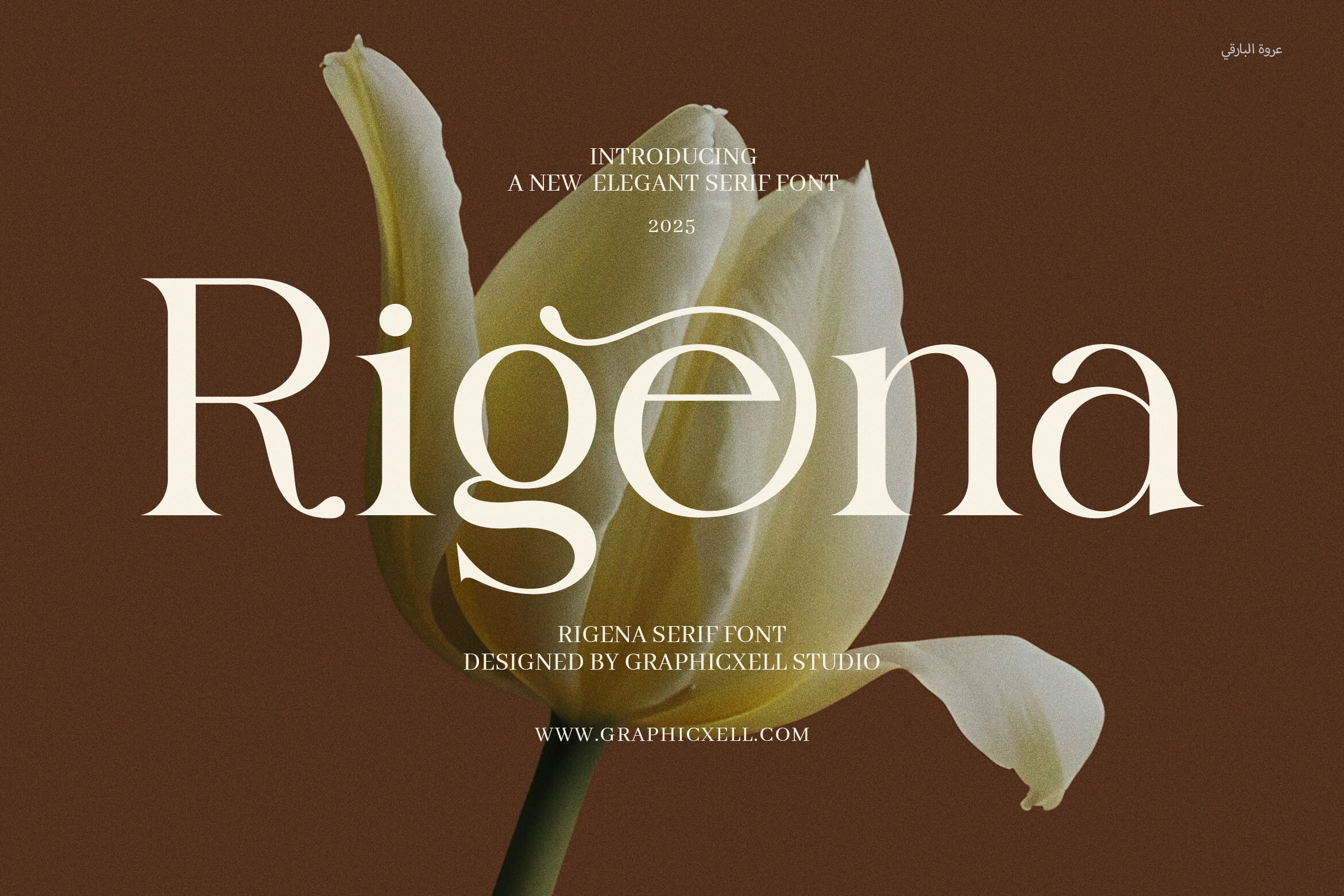 Rigena, a high-contrast serif for luxury branding