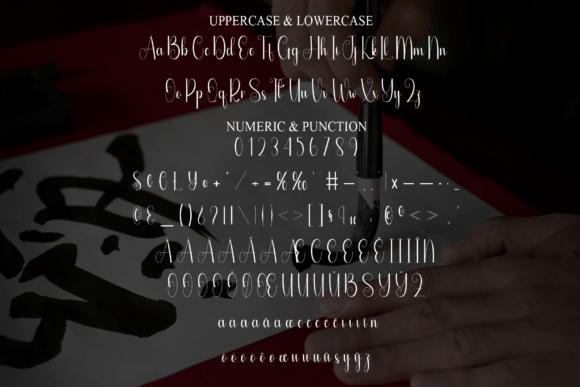 Calligraphy Font - Preview 6
