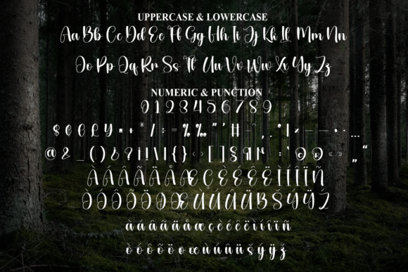 Black Woodland Font - Preview 6