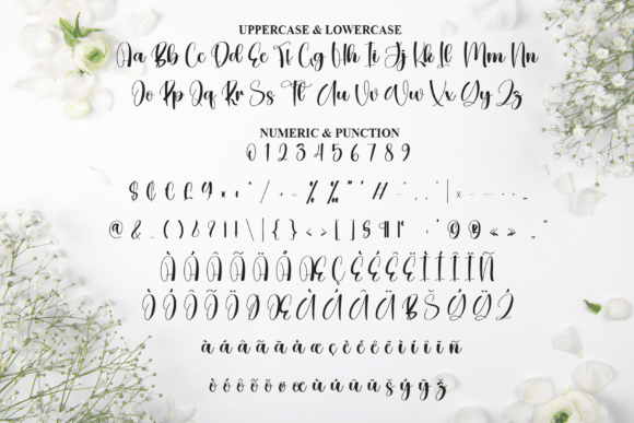Briefly Font - Preview 6