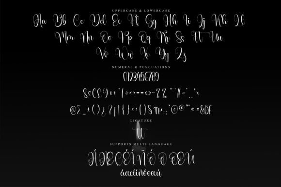 Bright Elegant Font - Preview 5