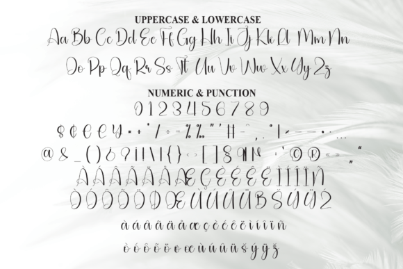 Delicate Font PNG with transparent background - Preview 6