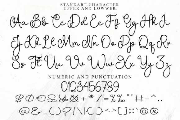 Designer Magnolia Font - Preview 4