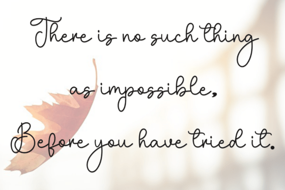 Designer Magnolia Font - Preview 6