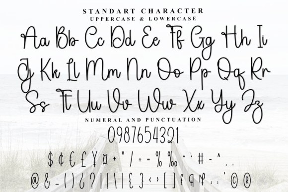 Diary Camellia Font - Preview 4